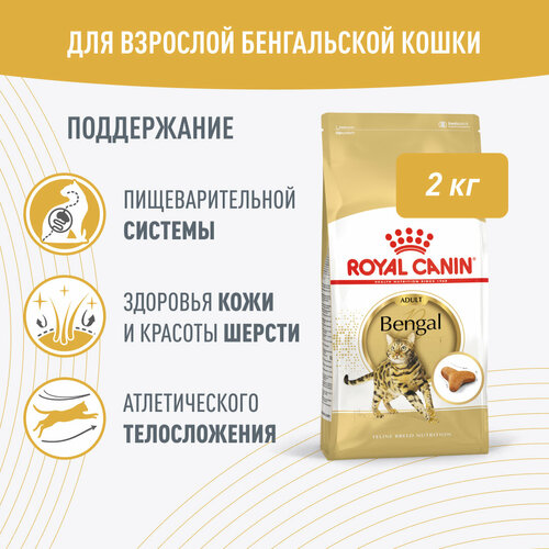    ROYAL CANIN Bengal Adult      12  ( ) 2    -     , -  