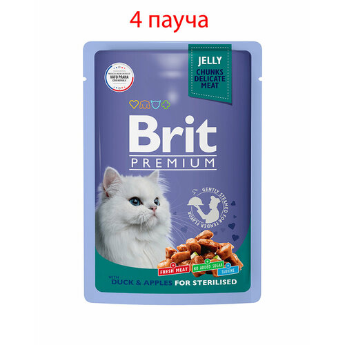   Brit Premium          85, 4   -     , -  