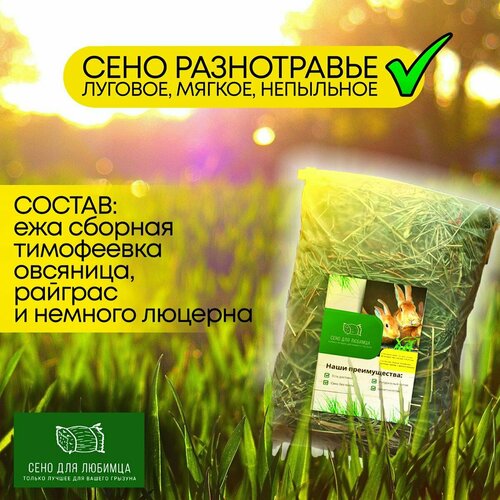 ���� ����������� � ��������� ������� ���� ������� �������� �� ������