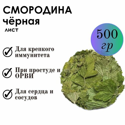 ���� ��������� 