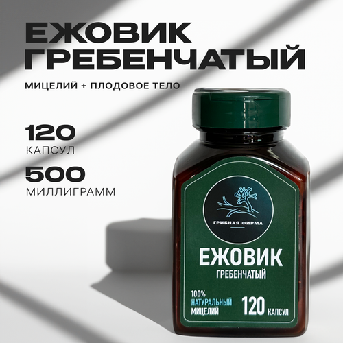 ���� ������ ����������� (������) � �������� 120 �� / ���� �� ����� / ��������� ������� / �����, ������ ������