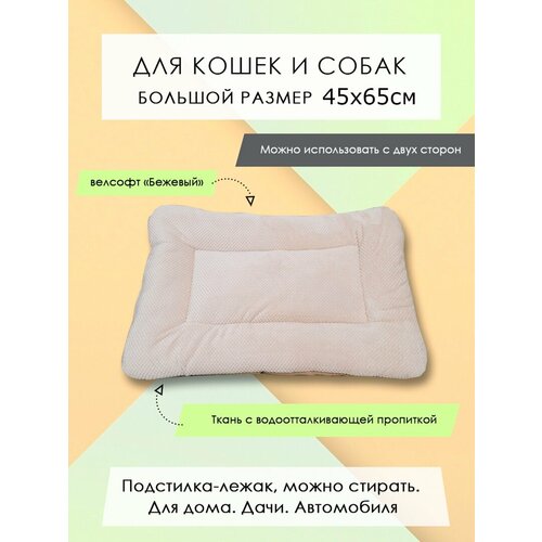 ���� ���������-����� ��� �����/����� �� �������� 