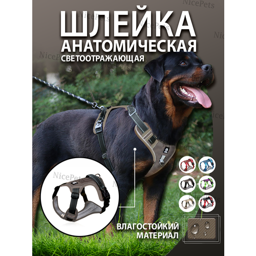 ���� ������ ��� ����� ���������� S, ������ ������