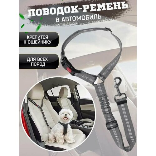 ���� ������ ������������ ��� ����� � ����������, ������� - ������ � ����������, ������� ��� ������, ������ ������