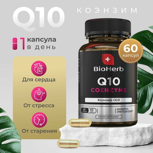  BioHerb   Q10,     , 60    -     , -  