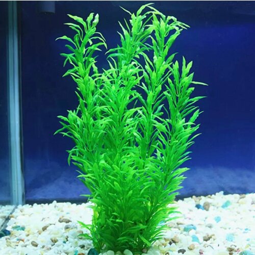 ���� ����������� �������� 40 ��, ������ ������