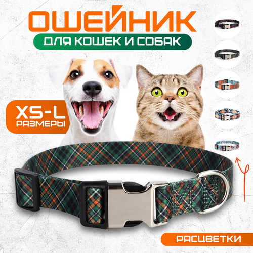 ���� ������� ��� ����� 