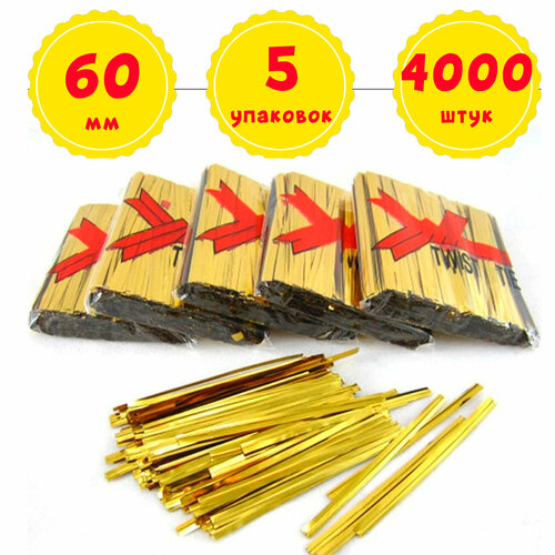 ���� 4000 ���������-�������� ������ 60 �� ����������� ����� ��� �������, �������� ������� (5 �������� �� 800 ��), ������ ������