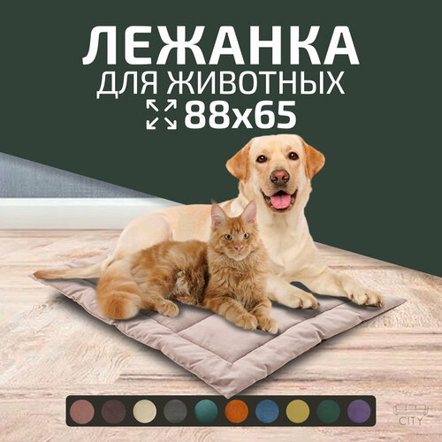 ���� ������� ������� City HD ��� ����� � �����, 88�65�3 ��, �������, ������ ������