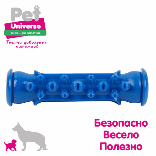     Pet Universe  -        154 , , , PU3076BE   -     , -  