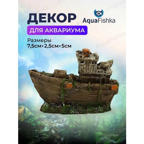 ���� ��������� ��� ��������� ��������� �����, ������ ������