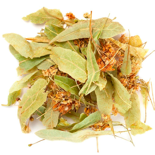 ���� ������ ���� ������������, ������ ������