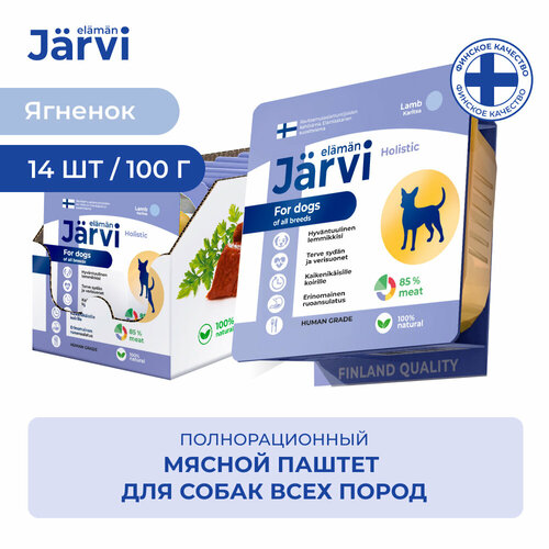  Jarvi         100 .  14    -     , -  