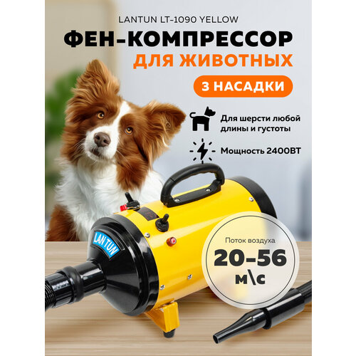 ���� ��� ���������� ��� �������� Lantun LT-1090 Yellow, ������ ������