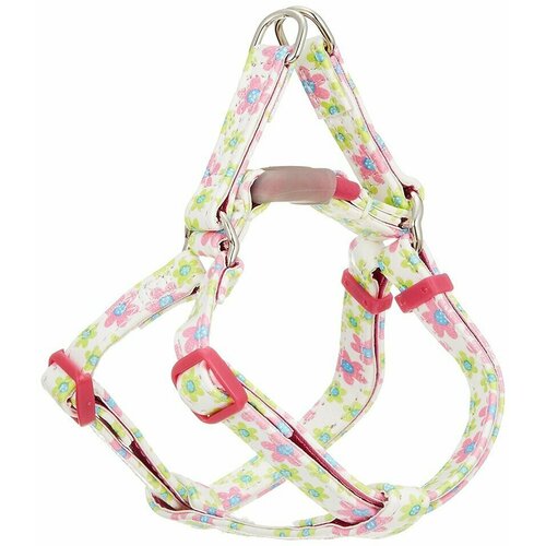 ���� ������ ��� ����� ������ ����� Japan Premium Pet � ������� ��������� �������� � ����������� ����������, �������, ������ ������