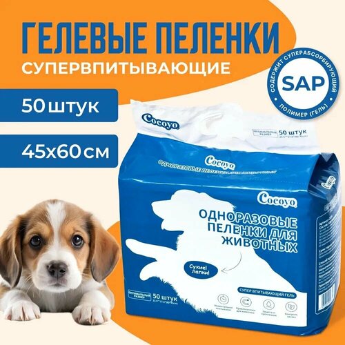 ���� ������� Mr Zoo ��� ��������, �����������, ������� � ��������� ������, ������ ������