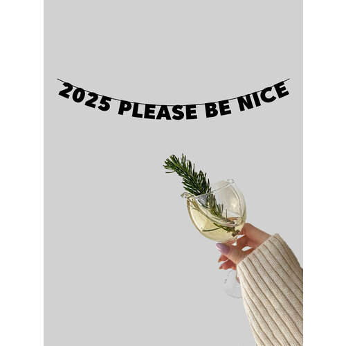       - 2025 please be nice   -     , -  