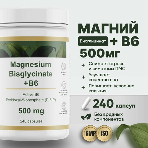     500     B6 (p-5-p) 240  Restartbio magnesium chelate bisglycinate b6      -     , -  