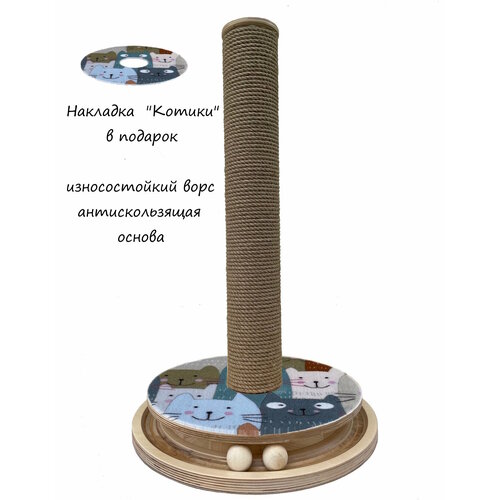 ���� ���������� ������� � ���-������, ������ ������