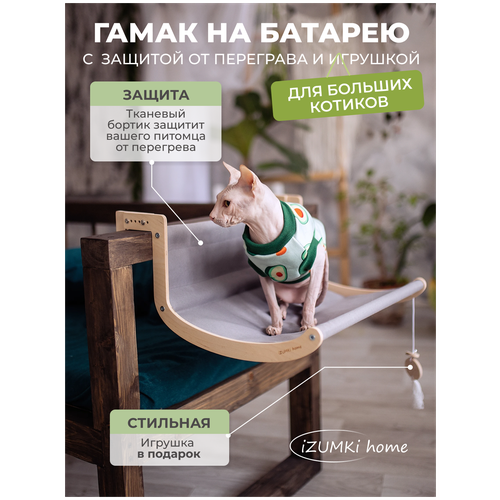 ���� ����� ��� ����� �� ������� 