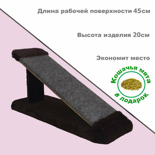 ���� ���������� - �������� 