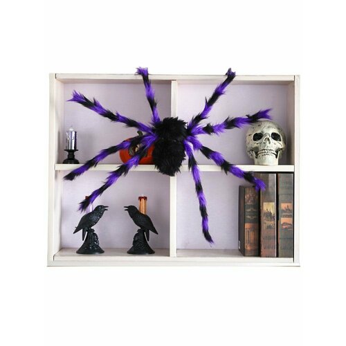 ���� ���������� �������� ���� 75 �� �������� ����������, ������ ������