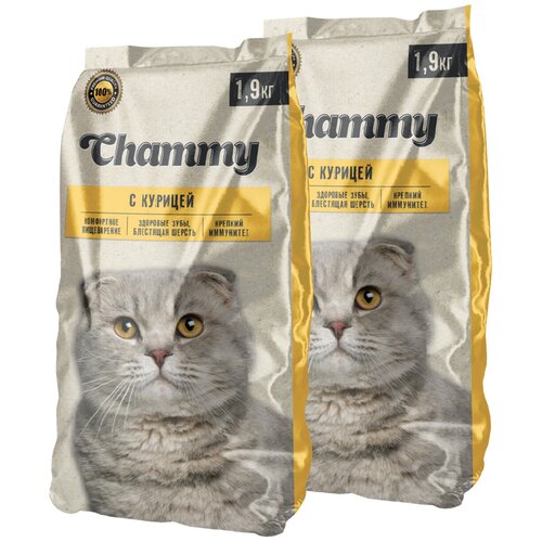  CHAMMY      (1,9 + 1,9 )   -     , -,   