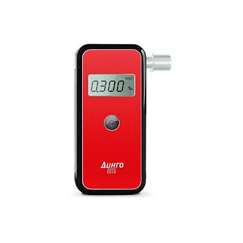 ���� ���������� ���������������� ����������� ����� �-010 (Dingo E-010), ������ ������