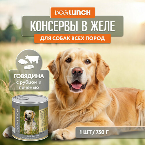      Dog Lunch , ,  1 .  1 .  750    -     , -  