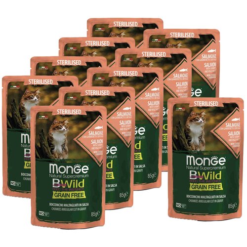  Monge Cat BWild GRAIN FREE           85  14 .   -     , -,   