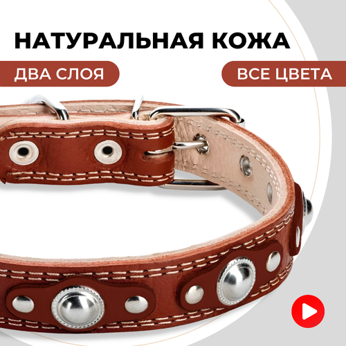 ���� ������� ������� ��� ����� ������ � ������� �����, �����������, ������ ������