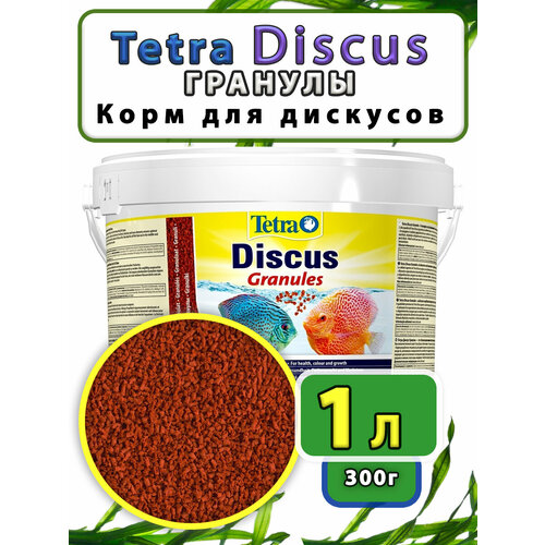 ���� ���� ��� �������� 