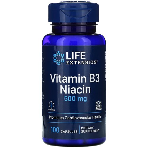   Life Extension Vitamin B3 Niacin, 90 , 500 , 100 .   -     , -  