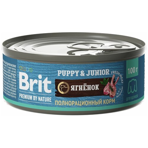     Brit Premium      100  - 6 .   -     , -  