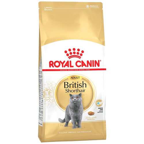      Royal Canin British Shorthair 34 4 