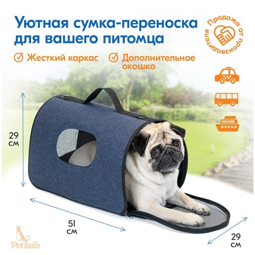 ���� ��������� ����� ������ 