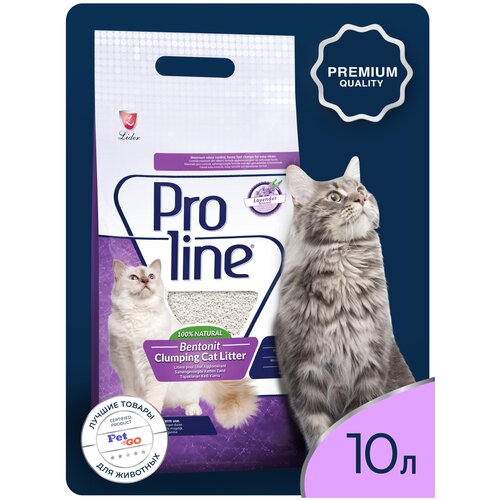   Proline    , , ,  ,    10 .   -     , -  