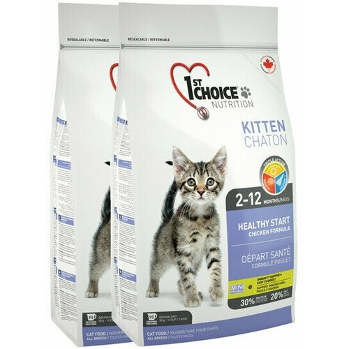      1st Choice Kitten  ,   2 .  2720    -     , -  