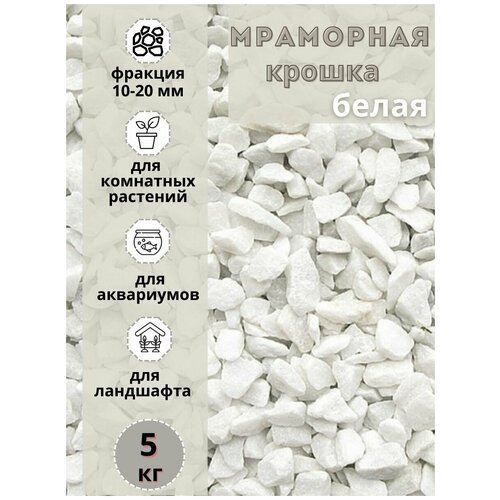 ���� ��������� ������ ����� 10-20�� ������� (5 ��) ����� ��� ���������, ������ ������