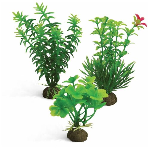 ���� Laguna ��������, 100 ��, ����� 3 ��, �������, ������ ������