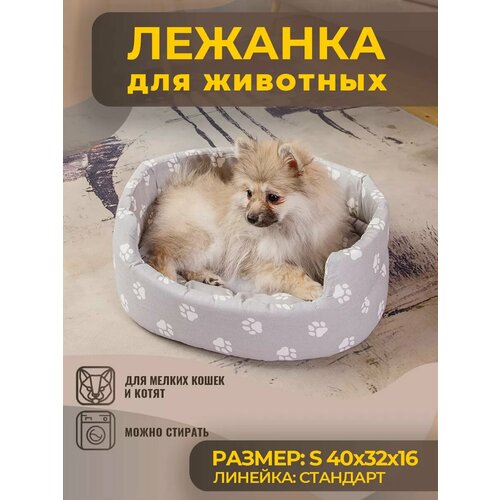 ���� ������� ��� ����� � ����� ������ �����, ����, ������ ������