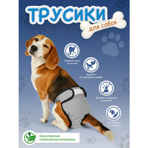 ���� ����� ��� ������ �� ����� ����� ������������ M, ���������� ��� ����� ������� ����� �����������, ������ ������