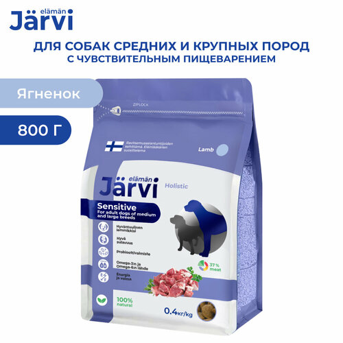  Jarvi              , 400 .  2    -     , -  