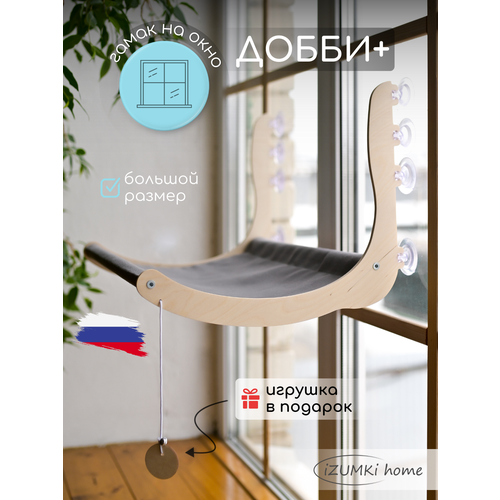 ���� ����� ��� ����� ��������� �� ����, ������ ������