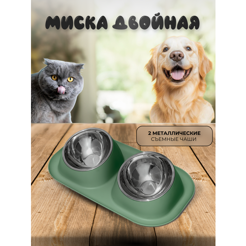 ���� ������� ����� ��� ��������, ������ ������