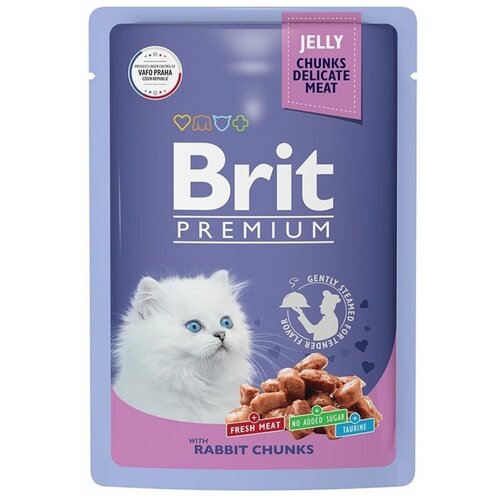   Brit Premium      85   -     , -,   