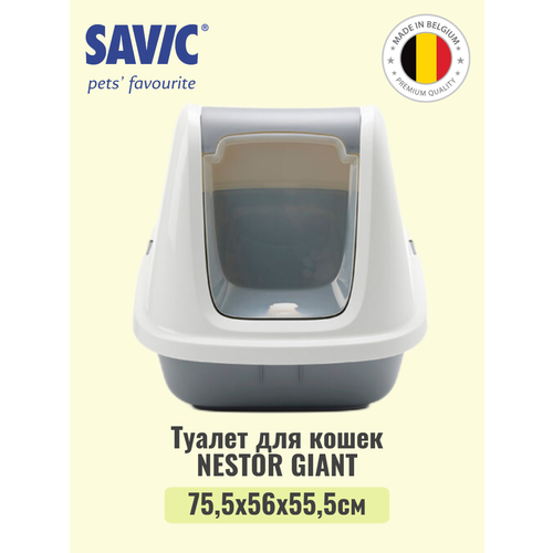      SAVIC NESTOR GIANT /- (  )   -     , -  