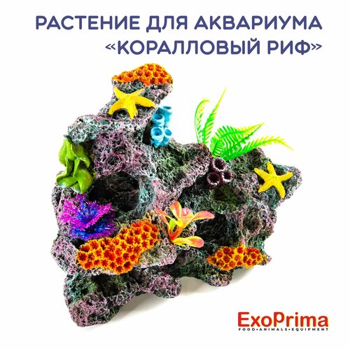  EXOPRIMA    