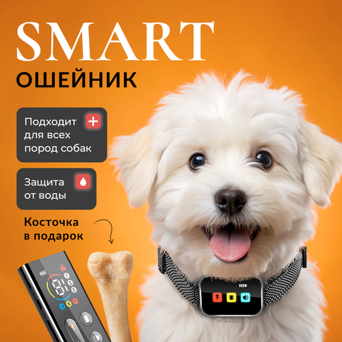 ���� ����� ������� ��� �����, ����������� �������, ������ ������