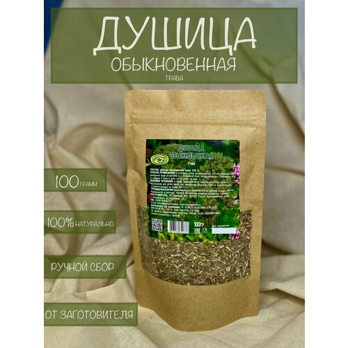 ���� ������ ������������ ����� 100 �����, ������ ������